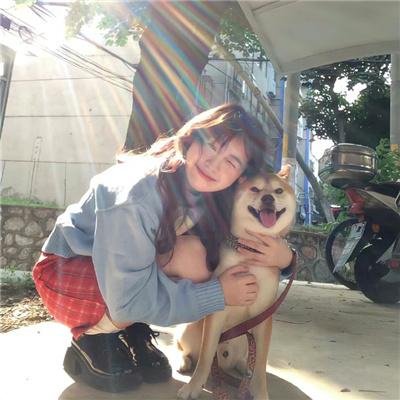 藏獒多吉